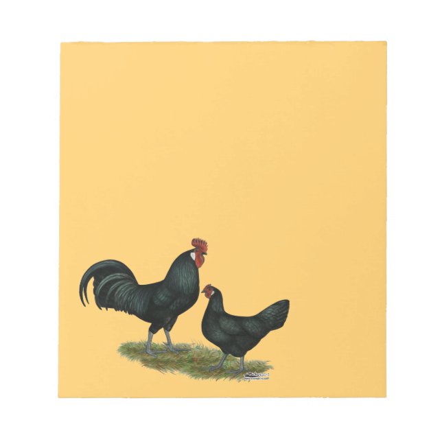 Augsburger Chickens Notepad (Front)