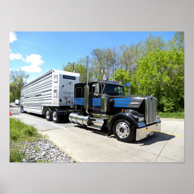 Augsburger W900L Poster (Front)