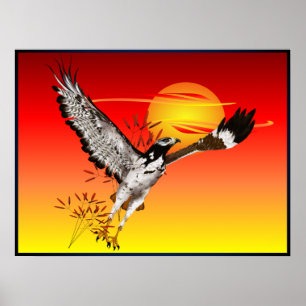 Augur meeting the morning sun. 4x3 poster