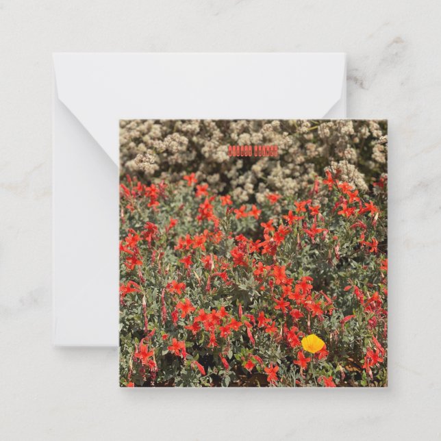 August Ablaze Card (Front)