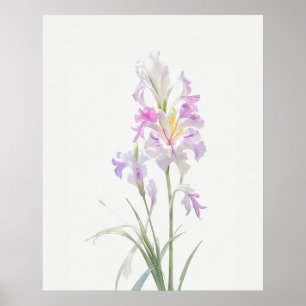 August Gladiolus Birth Flower Poster