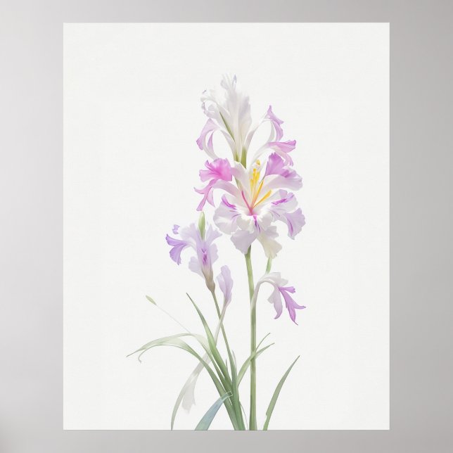 August Gladiolus Birth Flower Poster (Front)