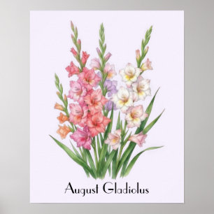 August Gladiolus Flowers Poster