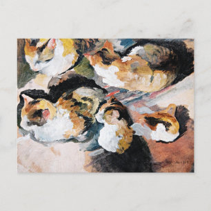 August Macke, Katzenstudien, Postcard