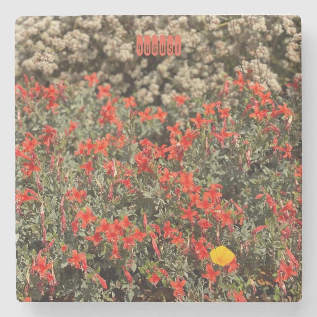 August Stone Coaster (Front)