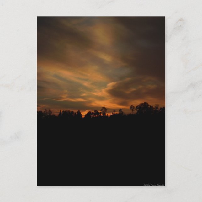 August Sunset Postcard (Front)