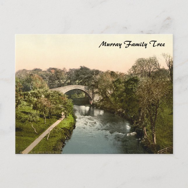 Auld Brig O'Doon, Ayrshire, Scotland Postcard (Front)