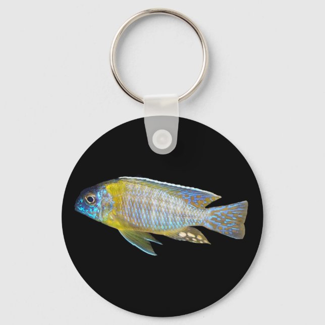 Aulonocara steveni keychain (Front)