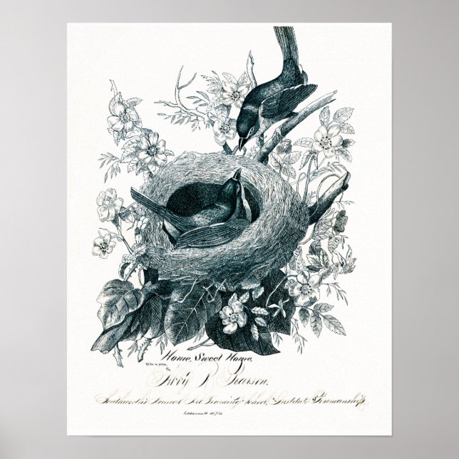 Aunt Abby's Birds Sketch Poster (Front)