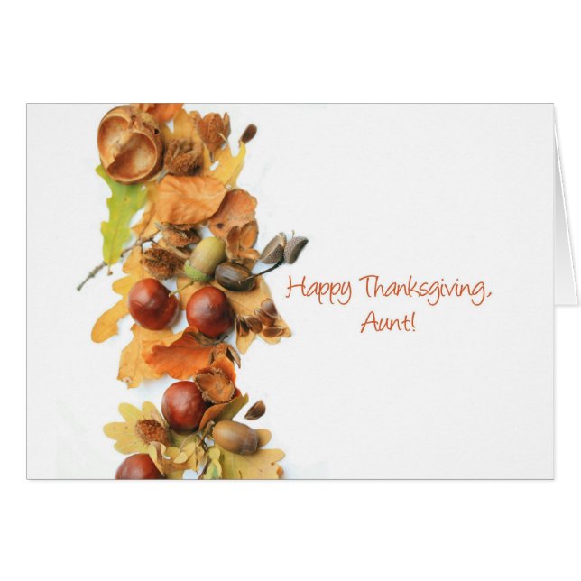 Aunt autumn border thanksgiving greeting (Front Horizontal)