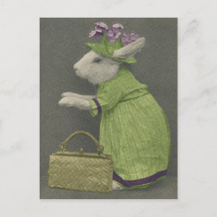 Aunt Bunny Postcard