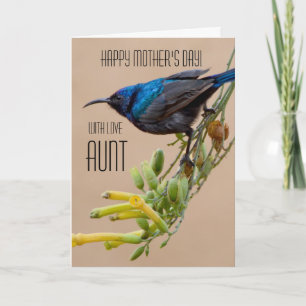Aunt / Happy Mother's Day -  Sun-bird Card