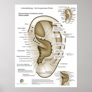 Auriculotherapy Ear Acupuncture Poster