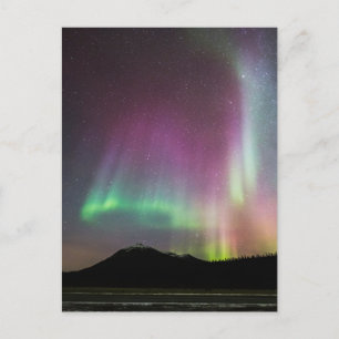Aurora Borealis   Alaska Brooks Range, Alaska Postcard