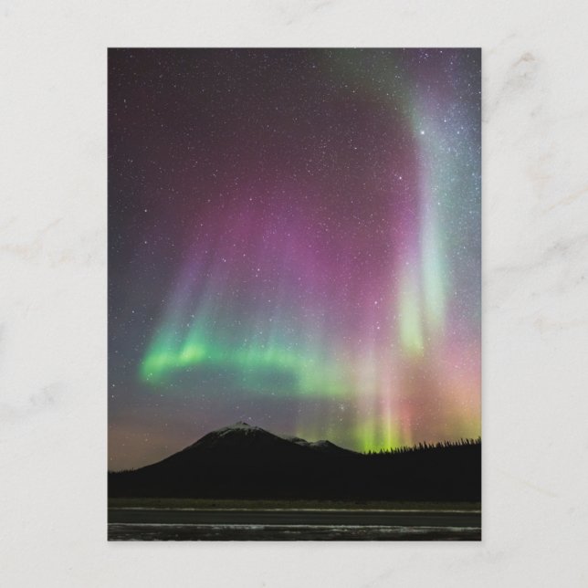 Aurora Borealis | Alaska Brooks Range, Alaska Postcard (Front)