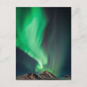 Aurora Borealis   Anchorage, Alaska Postcard