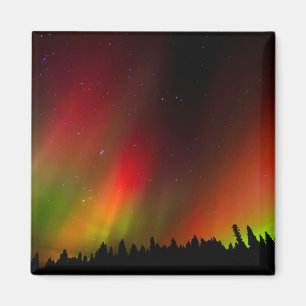 Aurora Borealis and trees Magnet