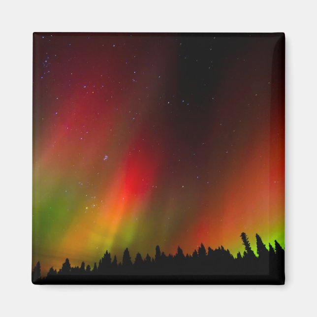 Aurora Borealis and trees Magnet (Front)