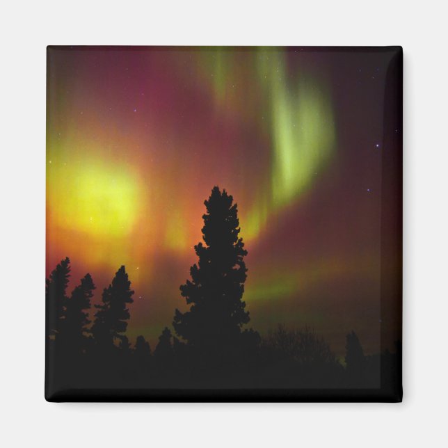 Aurora Borealis and Trees Magnet (Front)
