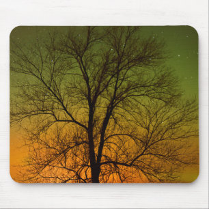 Aurora Borealis & Cottonwood Tree Mouse Pad