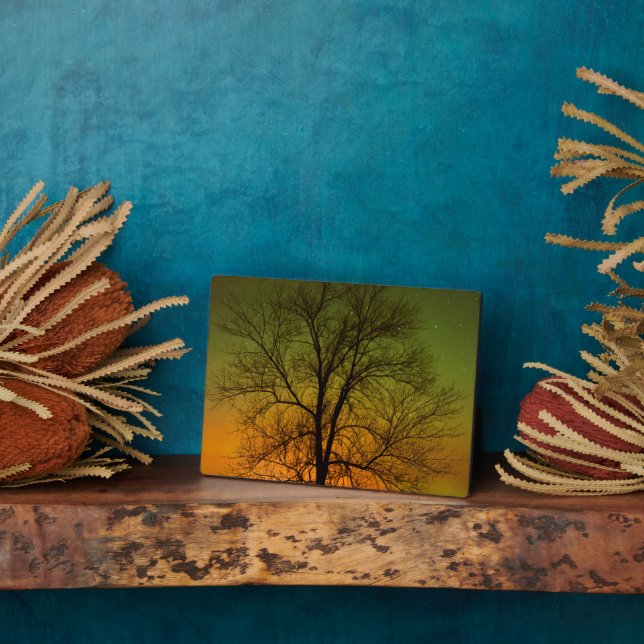 Aurora Borealis & Cottonwood Tree Plaque (Side)
