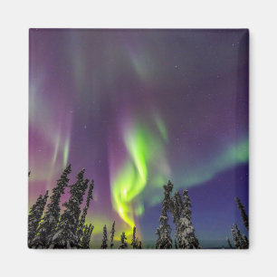 Aurora Borealis Fairbanks, Alaska Magnet