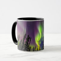 Aurora Borealis | Fairbanks, Alaska