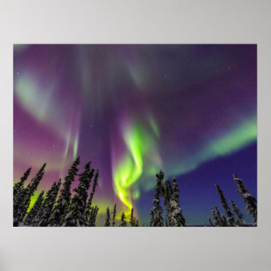 Aurora Borealis Fairbanks, Alaska Poster