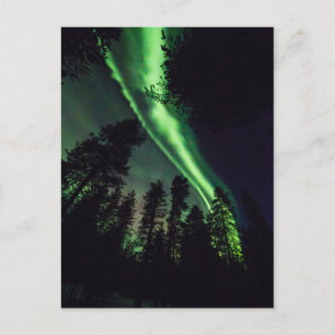 Aurora borealis in Finnish Lapland Postcard