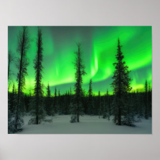 Aurora borealis in winter poster
