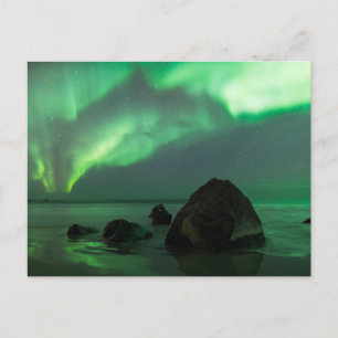Aurora Borealis   Lofoten Beach Norway Postcard