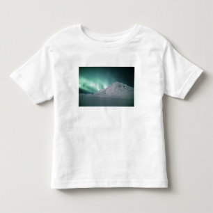 Aurora Borealis, near Palmer, January 17/18, Toddler T-Shirt