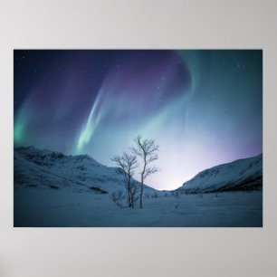 Aurora Borealis Night Poster