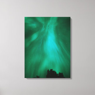 Aurora Borealis Nighttime | Ontario, Canada Canvas Print