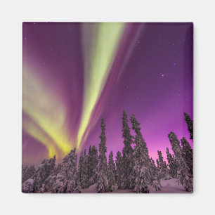 Aurora Borealis Northern Lights Fairbanks Alaska Magnet