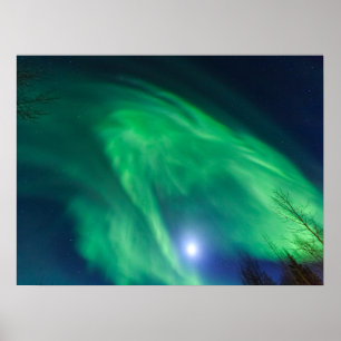 Aurora Borealis Northern Lights   Fairbanks Poster