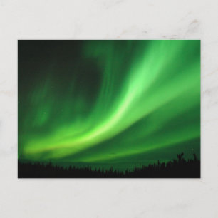 Aurora Borealis Northern Lights Postcard