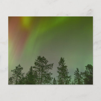 Aurora Borealis Northern Lights Skies Glow Sparkle Flyer