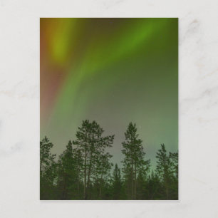 Aurora Borealis Northern Lights Skies Glow Sparkle Postcard