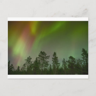 Aurora Borealis Northern Lights Skies Glow Sparkle Postcard