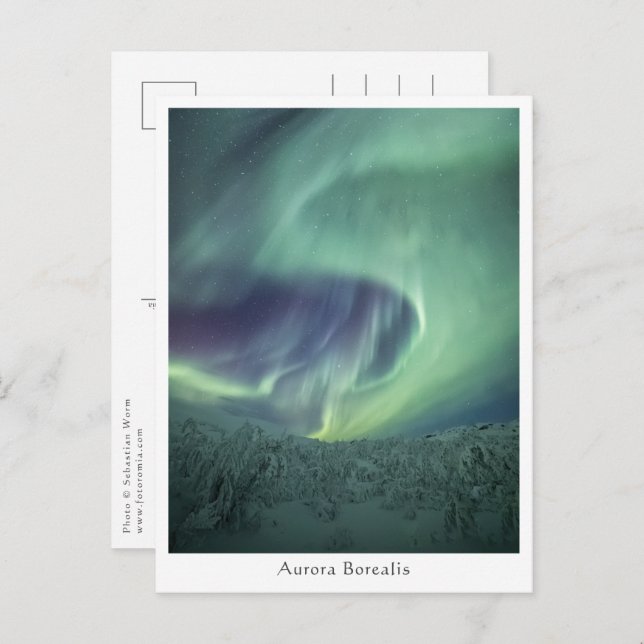 Aurora Borealis Norway Postcard (Front/Back)