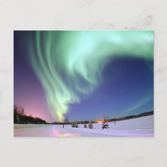 Aurora Borealis, or Northern Lights, Alaska Postcard (Front)