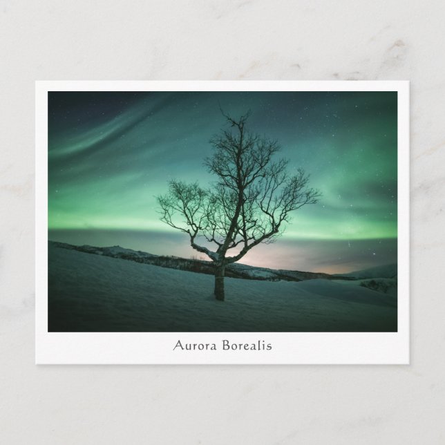 Aurora Borealis Postcard (Front)