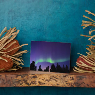 Aurora Borealis & Trees Manitoba, Canada Plaque