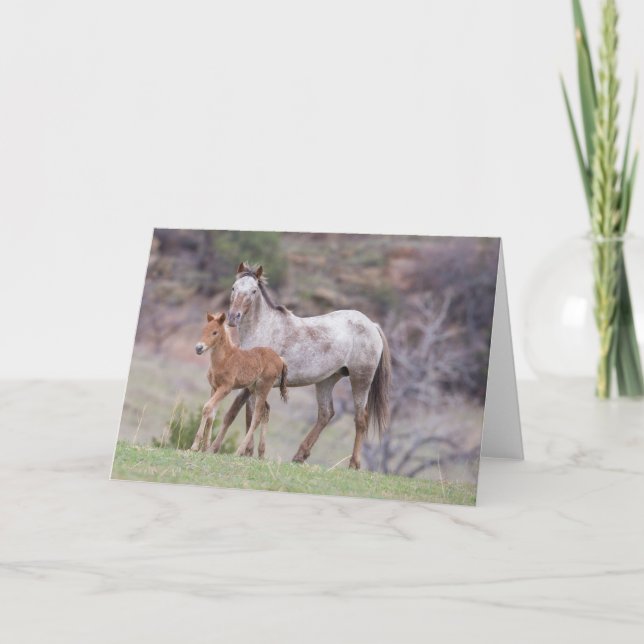 Aurora & Filly-Galloping to Freedom Greeting Card (Front)