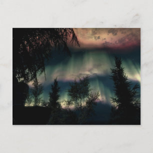 Aurora Postcard