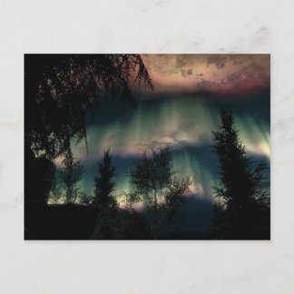 Aurora Postcard