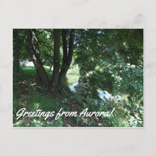 Aurora Postcard