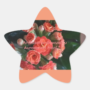 Aurozarian Heal * ^ Star Sticker