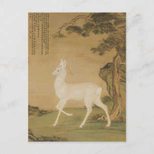 Auspicious Roe Deer Fine Art Postcard